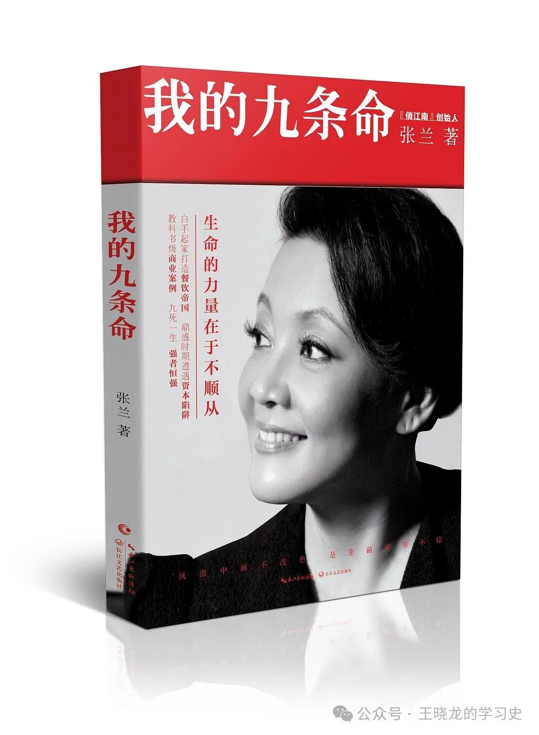 她命属猫