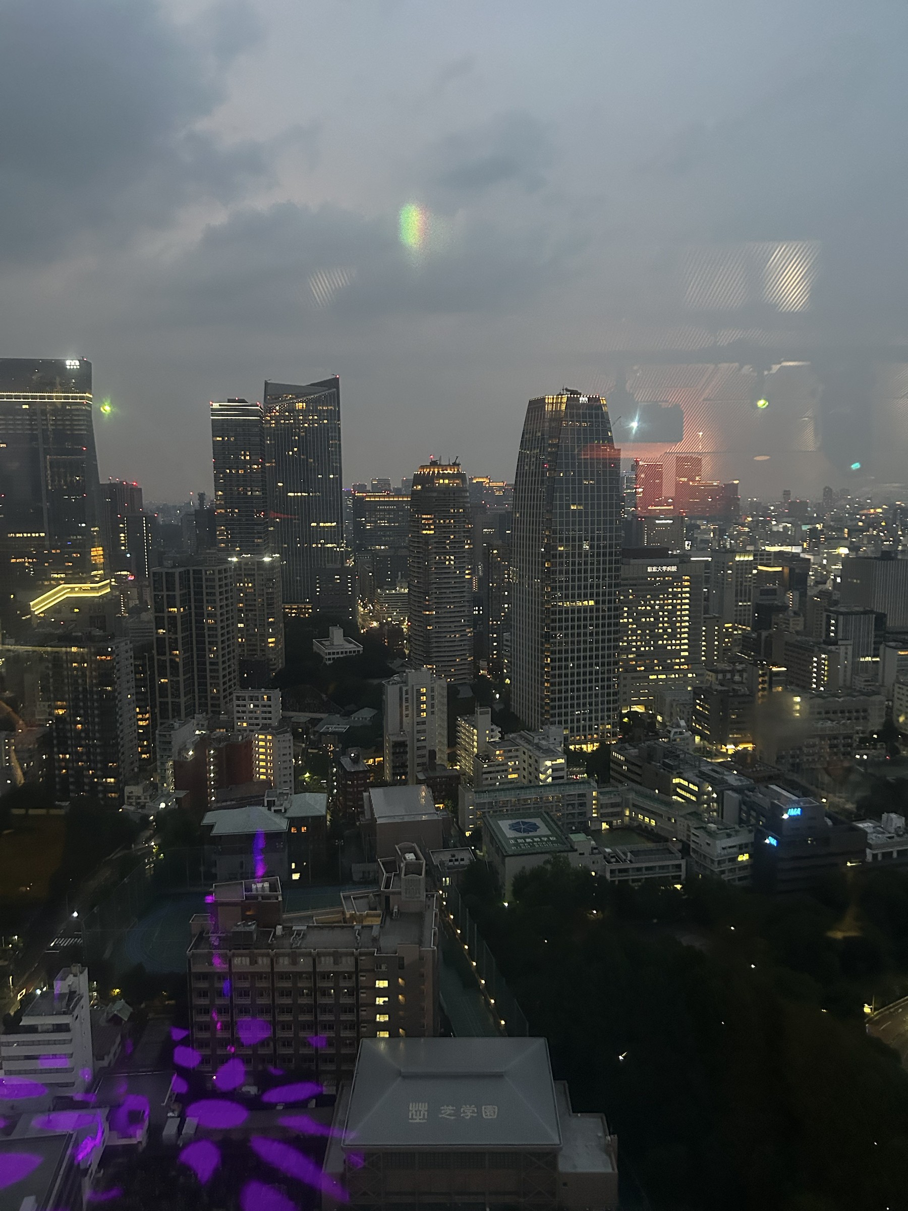 从东京塔上俯瞰东京