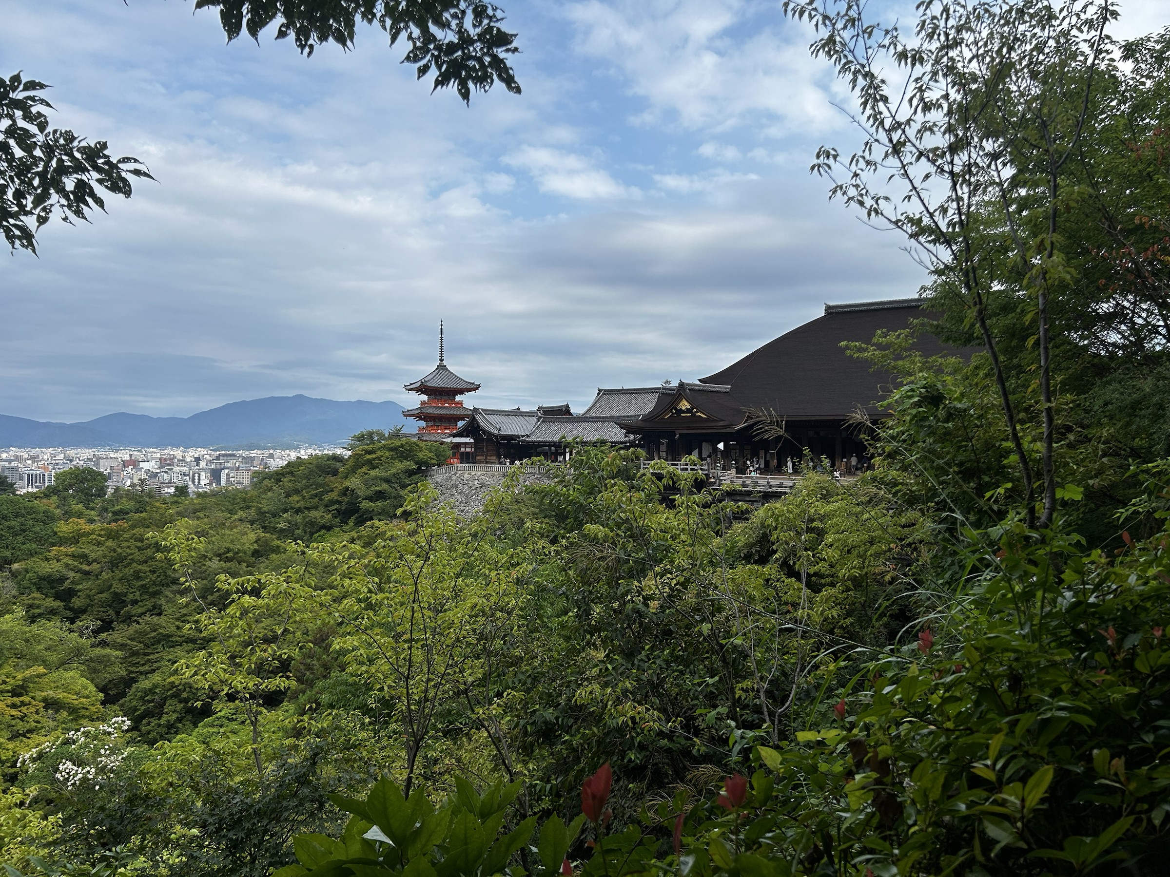 从林木间望见清水寺与京都城